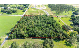 36126 SAINT JOE ROAD, DADE CITY, FL 33525 - MLS#MFRTB8395979