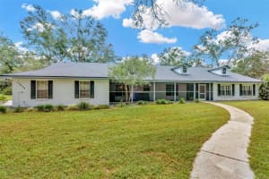 15234 SCANIO DRIVE, SPRING HILL, FL 34610 - MLS#MFRTB8395987