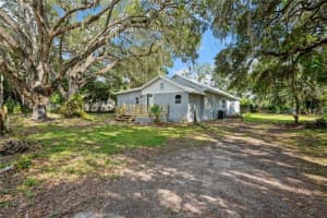 44912 Lacoochee Claysink Rd, WEBSTER