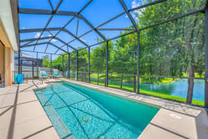 1242 WINDY BAY SHOAL, TARPON SPRINGS, FL 34689 - MLS#MFRTB8396034