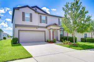208 ENGLISH HERITAGE PLACE, DOVER, FL 33527 - MLS#MFRTB8396061