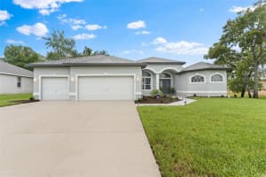 4025 HANGING MOSS LOOP, SPRING HILL, FL 34609 - MLS#MFRTB8396070