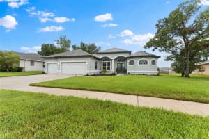 4025 HANGING MOSS LOOP, SPRING HILL, FL 34609 - MLS#MFRTB8396070