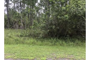 24 AMARYLLIS DRIVE, INDIAN LAKE ESTATES, FL 33855 - MLS#MFRTB8396082