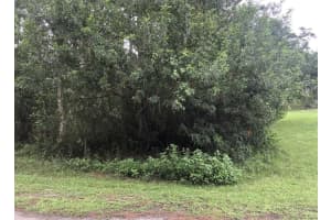 24 AMARYLLIS DRIVE, INDIAN LAKE ESTATES, FL 33855 - MLS#MFRTB8396082