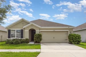 15406 Gopher Trop Pl, SUN CITY CENTER