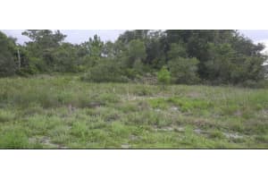 PARK AVE, INDIAN LAKE ESTATES, FL 33855 - MLS#MFRTB8396102