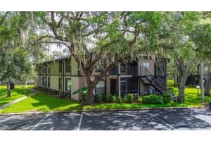4012 Tumble Wood Trl #104, TAMPA