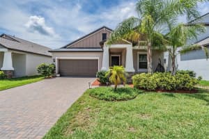 11315 Chilly Water Ct, RIVERVIEW