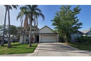 10024 CEDAR DUNE DRIVE, TAMPA, FL 33624 Sold 07/21/25