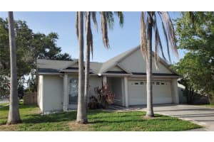 10024 CEDAR DUNE DRIVE, TAMPA, FL 33624 Sold 07/21/25