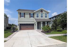 32599 NATURAL BRIDGE ROAD, WESLEY CHAPEL, FL 33543 - MLS#MFRTB8396178