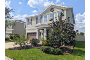 32599 NATURAL BRIDGE ROAD, WESLEY CHAPEL, FL 33543 - MLS#MFRTB8396178