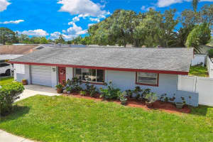 1809 Chinaberry Dr, OLDSMAR