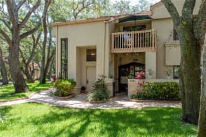 247 LOS PRADOS DRIVE, SAFETY HARBOR, FL 34695 - MLS#MFRTB8396204