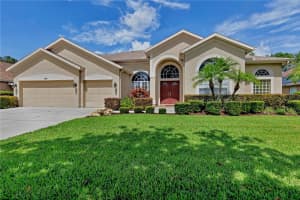 9242 Brindlewood Dr, ODESSA