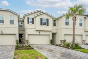 26082 WOVEN WICKER BEND, LUTZ, FL 33559 - MLS#MFRTB8396222