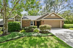344 Cascade Ln, PALM HARBOR