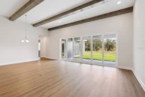 14523 SWISS BRIDGE DRIVE, LITHIA, FL 33547 - MLS#MFRTB8396250