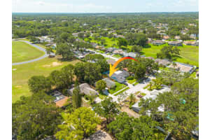 310 ARBOR DRIVE, PALM HARBOR, FL 34683 Sold 09/19/25