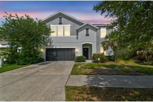 11541 TANGLE BRANCH LANE, GIBSONTON, FL 33534 Sold 08/08/25