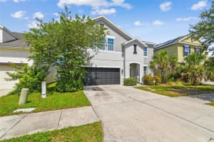 11541 TANGLE BRANCH LANE, GIBSONTON, FL 33534 Sold 08/08/25