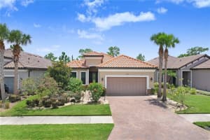 8605 Grand Alberato Rd, TAMPA