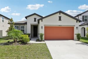13515 Palmera Vista Dr, RIVERVIEW