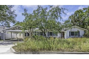4206 W Palmira Ave, TAMPA