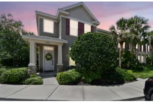 12472 Country White Cir, TAMPA