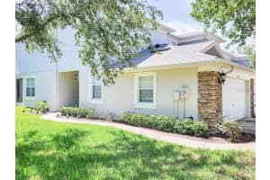 19232 STONE HEDGE DRIVE, TAMPA, FL 33647 - MLS#MFRTB8396460