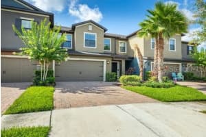 28504 Tranquil Lake Cir, WESLEY CHAPEL