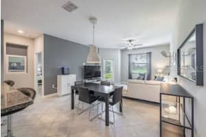 28504 TRANQUIL LAKE CIRCLE, WESLEY CHAPEL, FL 33543 - MLS#MFRTB8396462