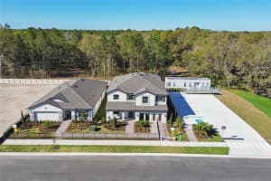 MLS# MFRTB8396530, Hudson, Florida 34669
