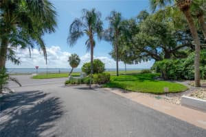 3325 BAYSHORE BOULEVARD, TAMPA, FL 33629 - MLS#MFRTB8396542