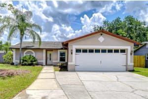 14105 FARMINGTON BOULEVARD, TAMPA, FL 33625 Sold 08/18/25