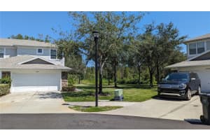 19251 Stone Hedge Dr, TAMPA