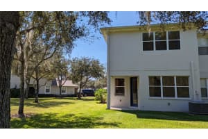 19251 STONE HEDGE DRIVE, TAMPA, FL 33647 - MLS#MFRTB8396684