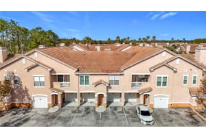 17996 VILLA CREEK DRIVE, TAMPA, FL 33647 - MLS#MFRTB8396686
