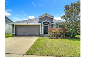14371 Edinburgh Moor Dr, WIMAUMA