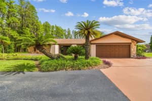 820 NEWBERGER ROAD, LUTZ, FL 33549 - MLS#MFRTB8396712