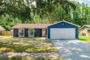 5346 Black Pine Dr, TAMPA