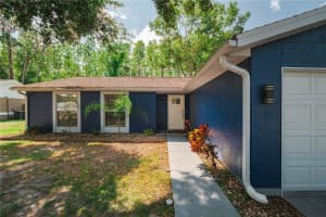 5346 BLACK PINE DRIVE, TAMPA, FL 33624 - MLS#MFRTB8396726