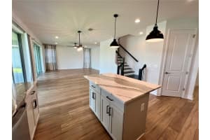 3704 WILD BLOSSOM PLACE, PARRISH, FL 34219 - MLS#MFRTB8396731