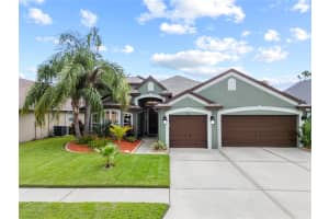 4512 POINTE O WOODS DRIVE, WESLEY CHAPEL, FL 33543 - MLS#MFRTB8396732