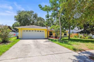 1510 Patricia Ave, DUNEDIN