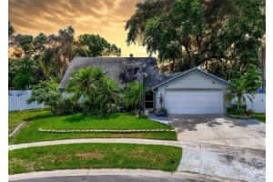 7111 Lawnview Ct, TAMPA