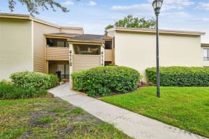 4114 PINELAKE LANE, TAMPA, FL 33618 - MLS#MFRTB8396770