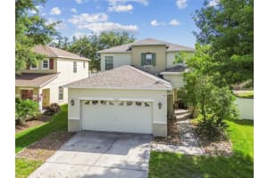 9329 Wellstone Dr, LAND O LAKES
