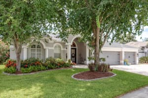 16226 CARNOUSTIE DRIVE, ODESSA, FL 33556 - MLS#MFRTB8396813
